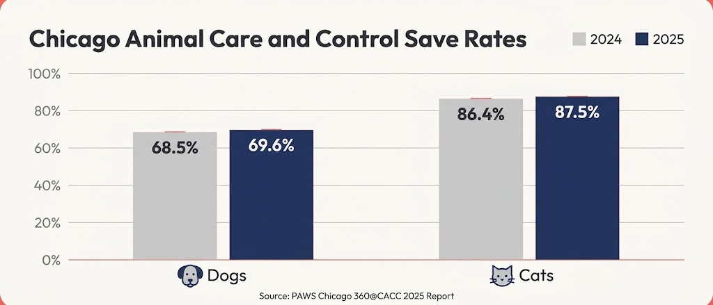 Bar chart comparing Chicago Animal Care and Control 2025 save rates: 69.6% for dogs and 87.5% for cats