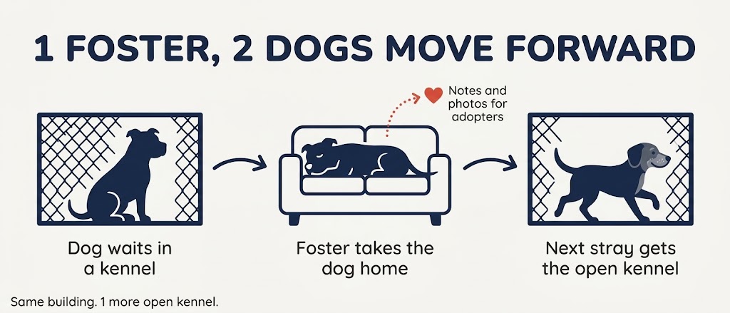 Diagram of a dog moving from a shelter kennel to a foster couch, freeing the kennel for the next stray dog