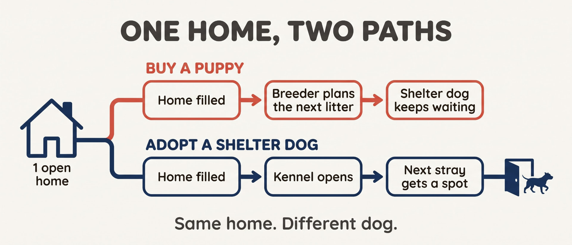 Diagram comparing buying a puppy and adopting a shelter dog, showing which choice opens a kennel for the next dog