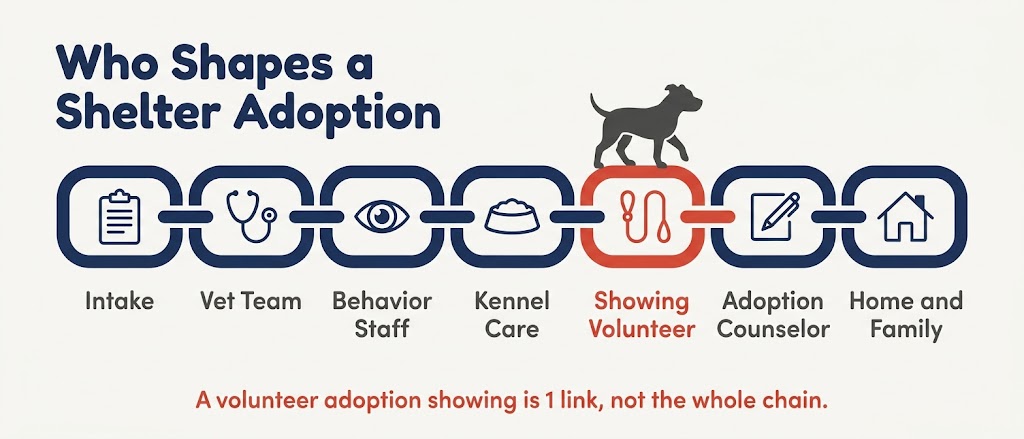 Diagram of a shelter dog adoption chain from intake to vet care, behavior, kennel care, showing, counseling and home